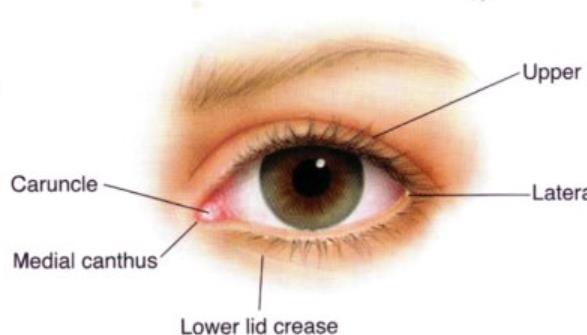 双眼皮手术后恢复期要注意哪些事情？这几个阶段很重要！