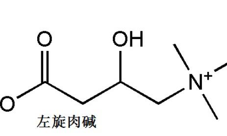 哪个牌子的左旋肉碱好?来这里看看左旋肉碱的相关资讯!