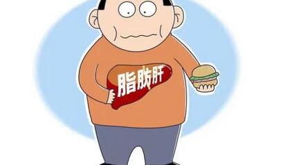 脂肪肝吃什么才能减掉肝上的脂肪?脂肪肝求美有哪些注意事项