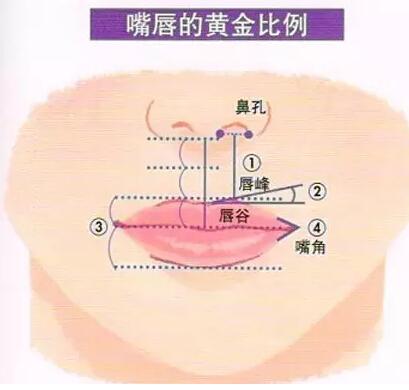 北医三院潘柏林唇部案例_手术费用2023揭晓!附医生个人简介
