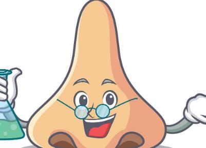 鼻头鼻翼缩小数价格,有哪些因素?详情公布!