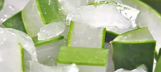 芦荟去痘使用方法公布!芦荟祛痘效果很好吗?