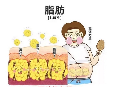 北京安贞医院王海波怎么样?怎样了解吸脂减肥,照着本文这样做可以减轻危害!