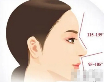 招财鼻是什么样子的?鼻子有哪些特点呢?赶快来比对一下吧~