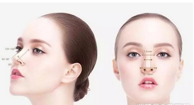 招财鼻是什么样子的?鼻子有哪些特点呢?赶快来比对一下吧~
