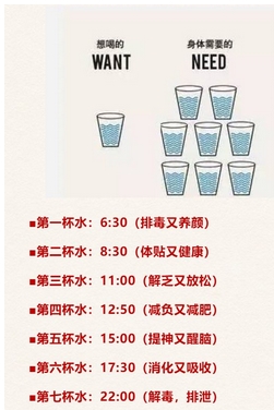 喝水瘦身的黄金时段有哪些?每个时间段都很重要!喝水多减肥好技巧,不用担心瘦不了!