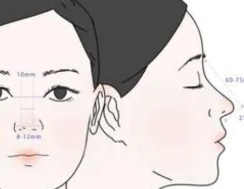 陈优白是301的正式医生吗?个人资料公开,看介绍~
