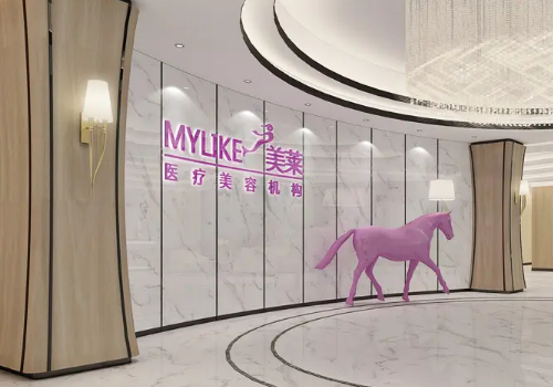 上海美莱医疗美容门诊部隆胸怎么样?内附真实案例介绍