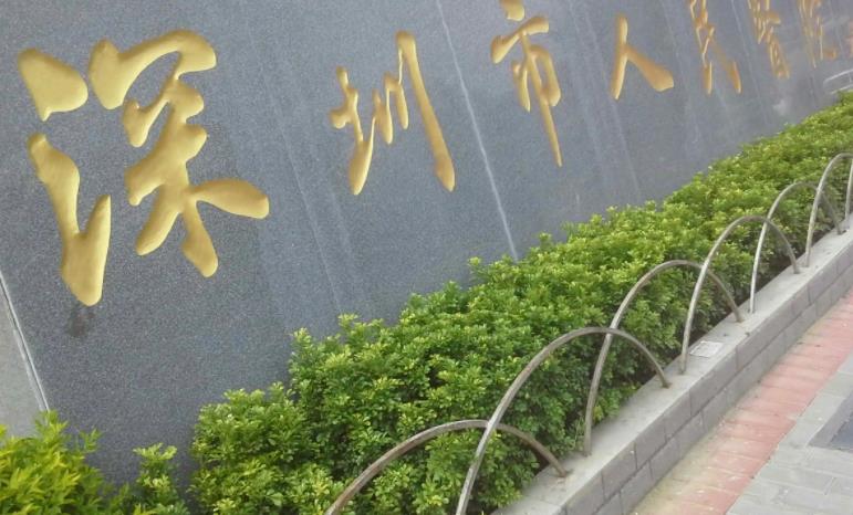 深圳整鼻子比较有名的医生有哪些?各医院基本资料及院内坐诊医院介绍!