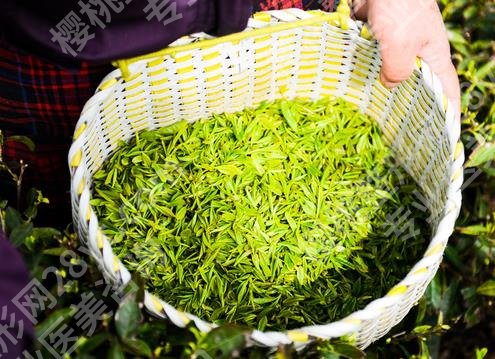 大印象减肥茶副作用有哪些?提前预览,以备不时之需