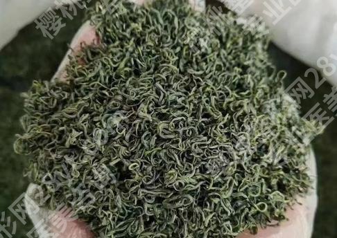 大印象减肥茶副作用有哪些?提前预览,以备不时之需