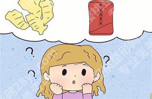 哪种生姜洗发水好用?可以预防脱发吗?细节你了解几个!