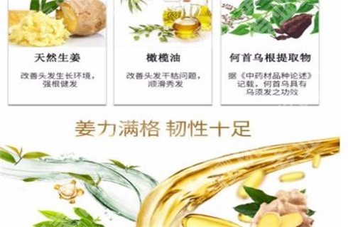 哪种生姜洗发水好用?可以预防脱发吗?细节你了解几个!