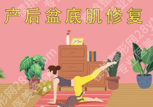 盘底肌修复有哪些方式?这篇内容有你想了解的信息!