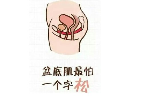 盘底肌修复有哪些方式?这篇内容有你想了解的信息!