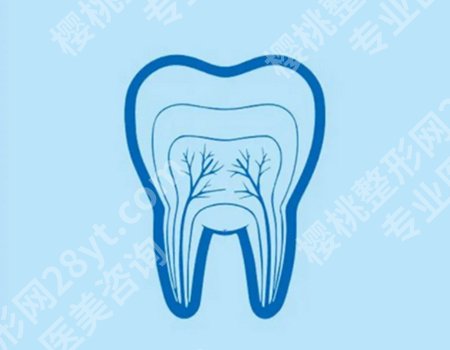 种植牙可以管一辈子吗？可能影响种植牙寿命的因素有哪些？