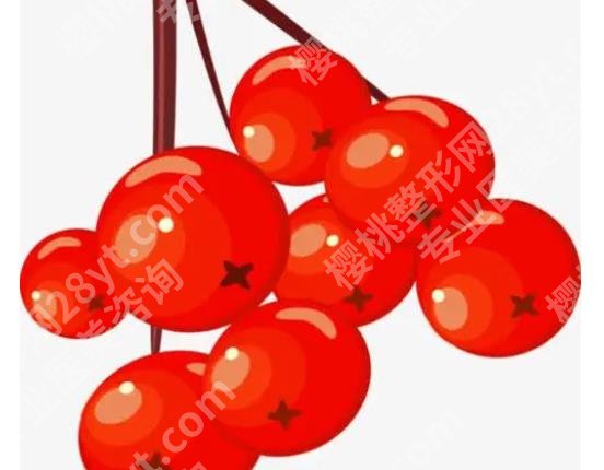 山楂片的功效与作用有哪些?抗氧化、活血调经、促进消化...