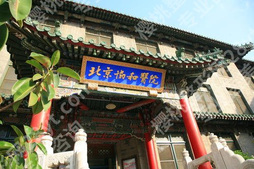 北京做小耳畸形专业的医院有哪些?协和\中日友好\友谊等,口碑前五介绍!