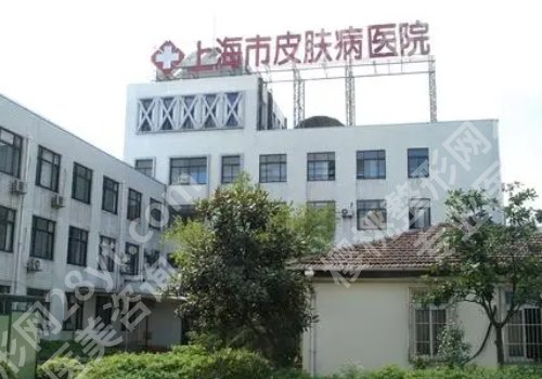 上海去除雀斑哪家医院好?公立、私立大比拼
