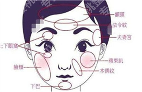 北京东方和谐地址,医生实力介绍,细节曝光