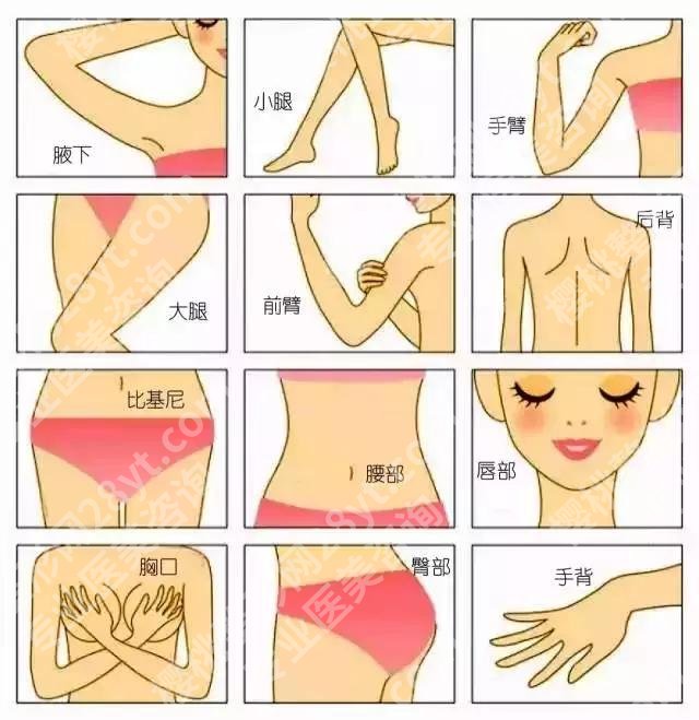 李旭东医生在伊莱美私密手术怎么样?个人简介、专业特长、案例反馈来袭!
