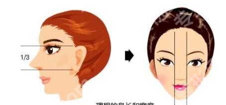 王旭东医生做鼻子怎么样?医生实力测评|隆鼻案例一览!