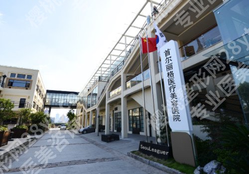 上海哪家切眉提眉整形医院好?2024五大切眉提眉整形医院新排名公布!