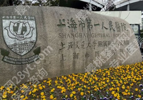 上海出名的切眉提眉整形医院名单,口碑好的医院都在内!