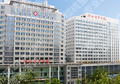 2024石家庄玻尿酸除皱整形医院上榜前10位名单深挖!想去的戳进来!