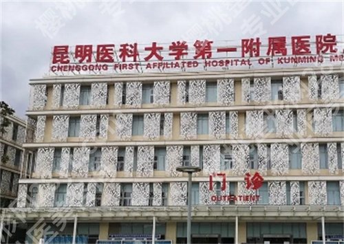 昆明抽脂手术哪家医院好?了解一下哪几家医院上榜吧,速速围观