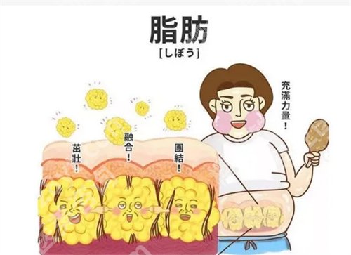 北京协和医院王阳做的脂肪埴充怎样?简介、真实反馈统统有