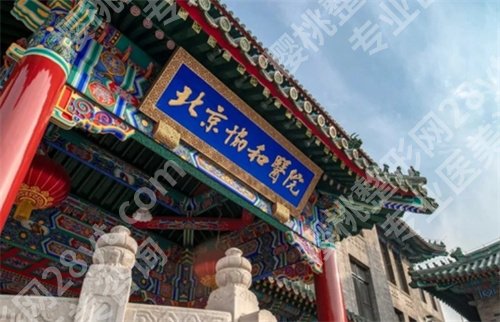 协和和301哪一个整形更好?医院细节曝光,点击了解