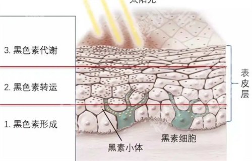 北京诚之康口腔医院怎么样?好评在线看