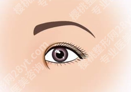 闫娇君医生眼睛怎么样?技术、口碑点评一览