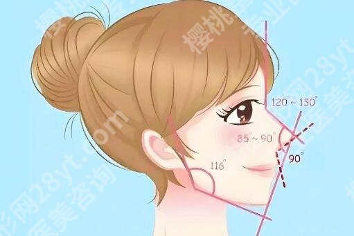 深圳画美做臀腿手臂抽脂多少钱?价格为9180元起