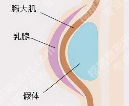 上海艺星彭才学医生怎么样?医生简介及面诊小技巧了解