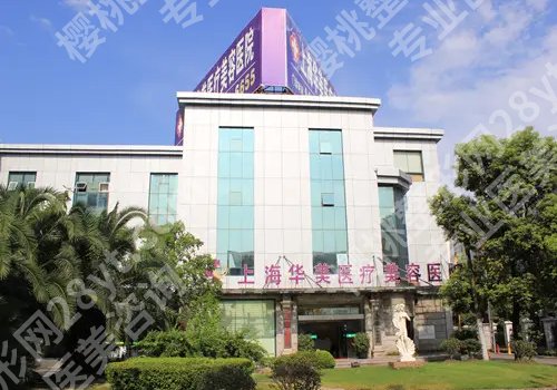 常春医生是哪个医院的?医生擅长项目及坐诊医院曝光