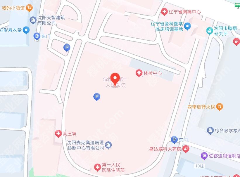 沈阳市第一人民医院整形科主任是谁?医生简介|擅长项目介绍!