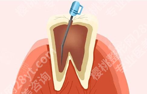清华大学玉泉医院口腔科安靖怎么样?盘点专家资料与坐诊医院介绍公布