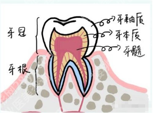 北京304医院口腔科怎么样?核心项目介绍