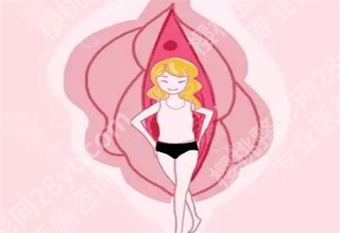 上海第七人民医院私密整形美容科怎么样?价目收费