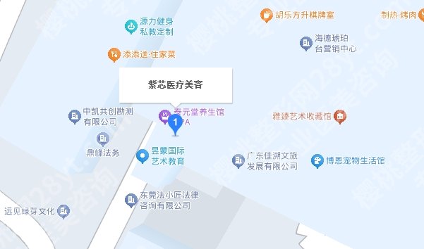 东莞紫芯医疗美容怎么样?医院人气医生推荐!附面诊技巧!