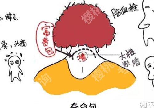 上海九院富贵包手术挂什么科?医院信息及医生信息公布