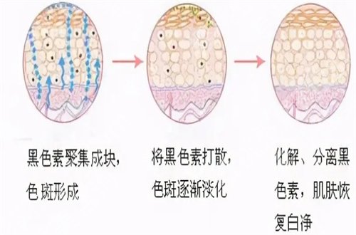 深圳贝加美怎么样?简介公布,案例反馈