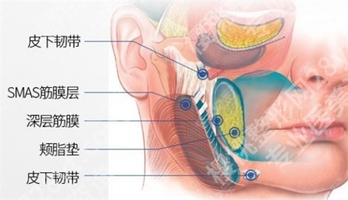 广州美咖整形医院吸脂怎么样?医院好评不断,一键探索