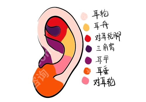 段伟强耳再造有名吗?医生优势介绍及案例分享