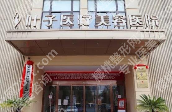 西安做欧洲之星哪家医院?叶子医疗、晶肤医疗、画美医疗等都是正规机构!