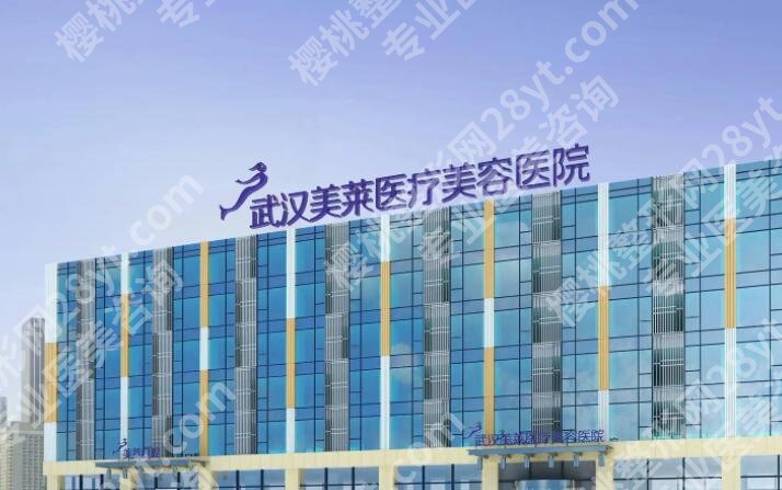 武汉欧洲之星 哪家效果好?正规靠谱机构名单一览!
