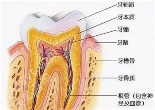 佛山禅城中心医院口腔科怎么样?热门项目公布