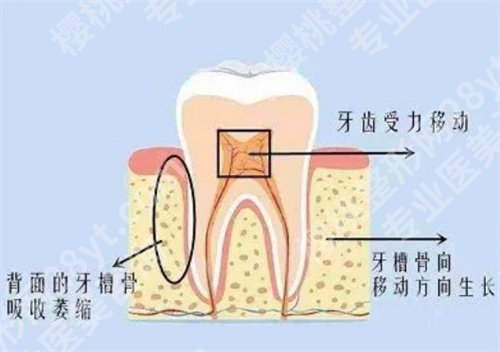 深圳第二人民医院牙科电话?医院基本介绍